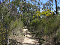 The Bald Rock Creek Circuit.