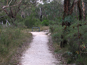 Dr Roberts' Waterhole track.