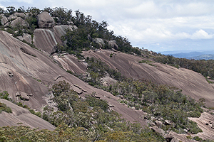 Western slopes of Mt Norman