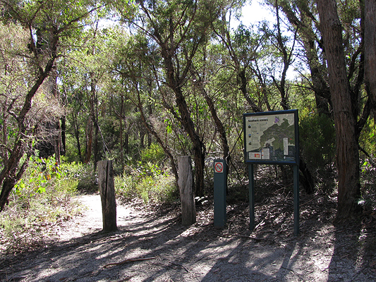 Start of Mt Norman Track - South End