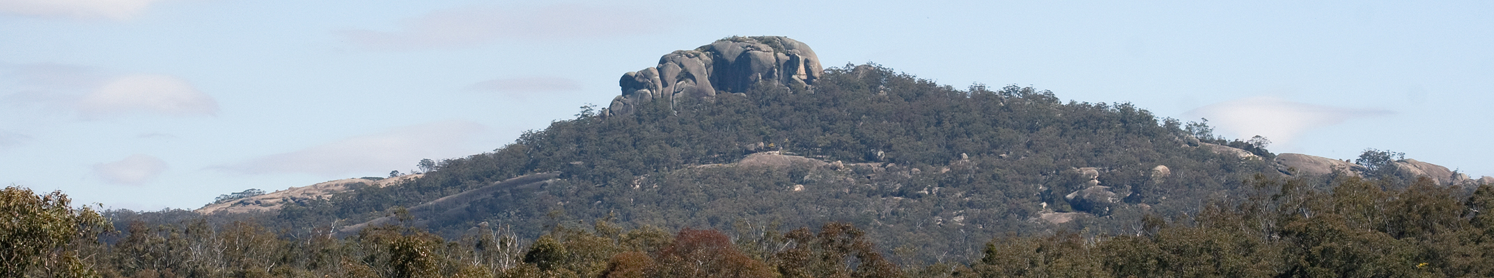 Mt Norman's Western Slopes