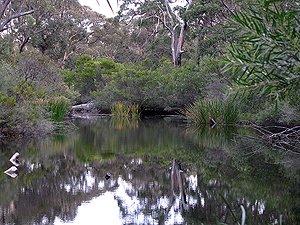 Dr Roberts' Waterhole