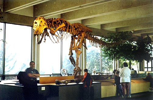 The dinosaur skeleton in the foyer.