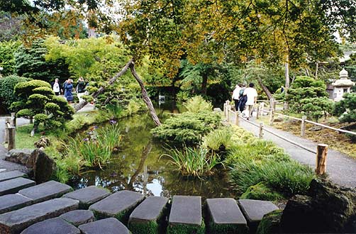 Pond and stepping stones.