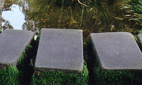 Mossy stepping stones.