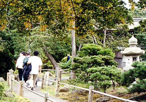 Path and stone lantern.