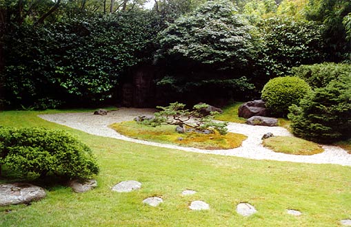 Zen garden with bonsai tree.