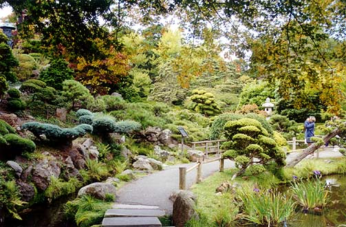 Garden near the pond.