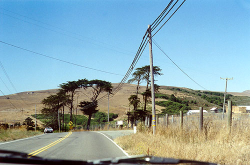 Bodega Bay hinterland.