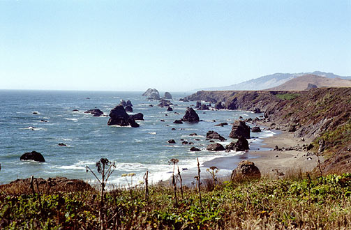 Beach north of Bodega Bay.