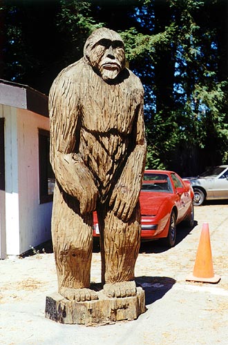 Chainsaw carving - sasquatch.