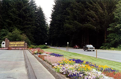 Gardens in the carpark.