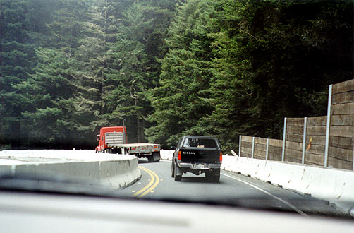 Forest roadworks.