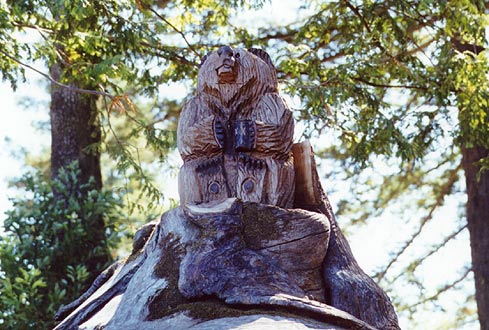 Chainsaw carving - bear cub.